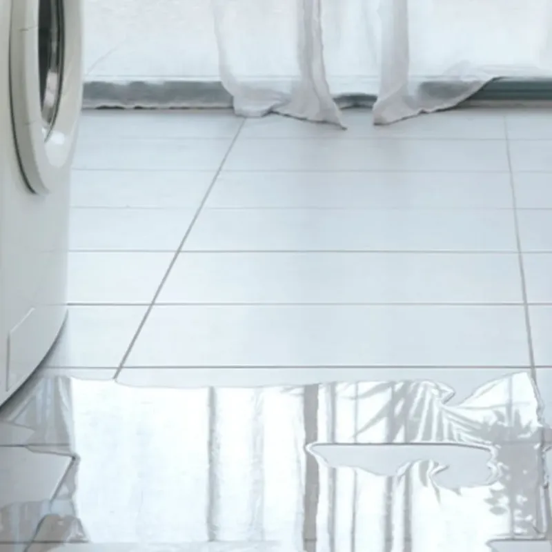 Appliance Leak Cleanup in Brandon, FL